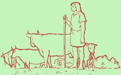 Cattle rearing 1